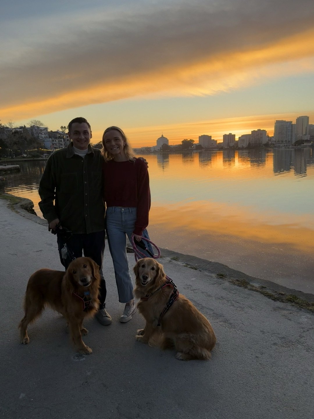 An evening walk beside the water with two golden retrievers